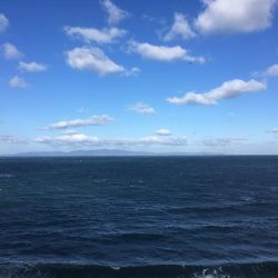 ジグサビキでアジ、サバ